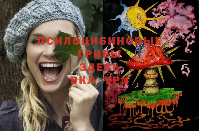 Псилоцибиновые грибы Psilocybe  где купить наркоту  OMG вход  Красный Сулин 